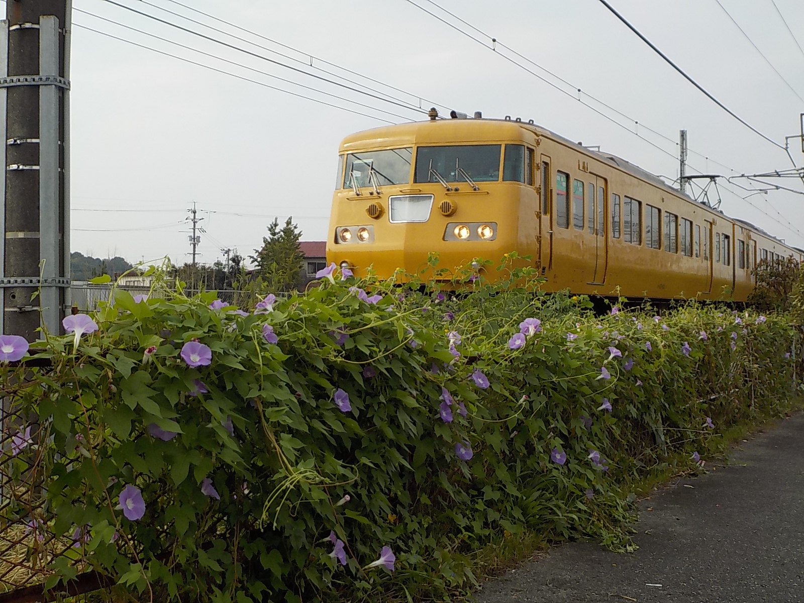 あえて送迎をしない理由